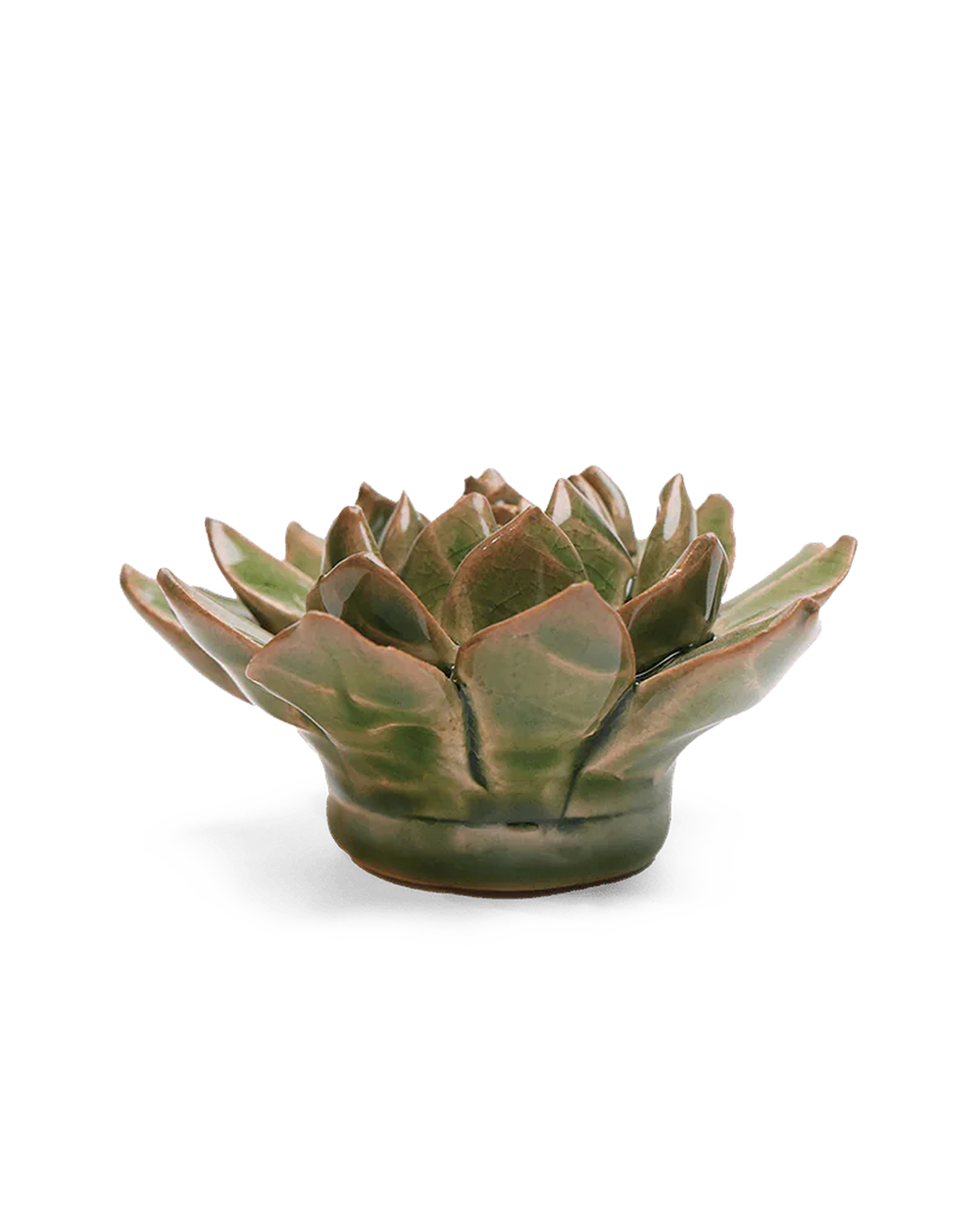 Avocado Green Firecracker Succulent - Chive Ceramics Studio - Ceramic Flowers - Chive Ceramics Studio