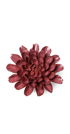Blush Pink - Star Dahlia - handmade by Chive Studio Toronto