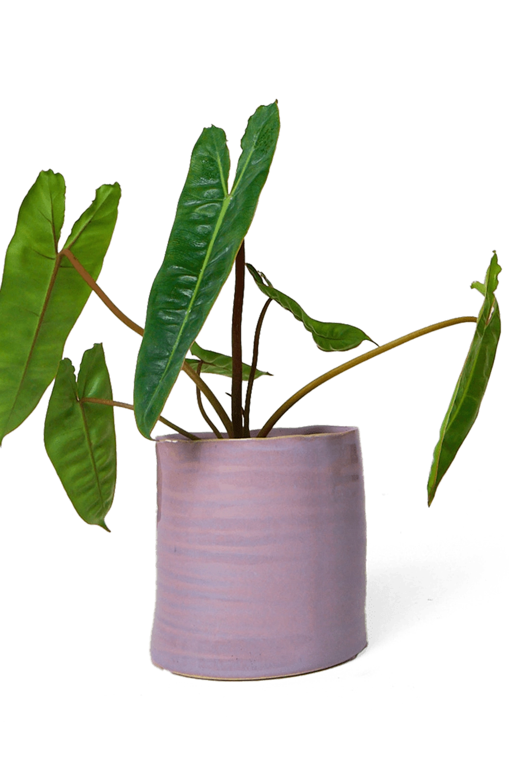 Mauve Ceramic Planter Pot - Channa - handmade by Chive Studio Toronto