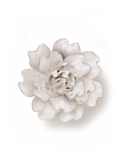Larkspur flower meaning │ Ivory Larkspur │ Chive Studio