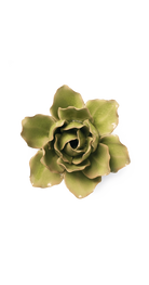 Peridot - Stargazer Lily - handmade by Chive Studio Toronto