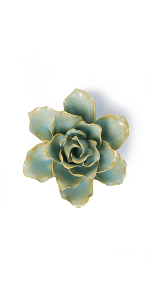 24th anniversary │ Robin's Egg Blue Stargazer Lily │ Chive