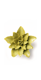 Chartreuse Water Lily Ceramic Wall Flower — Birth Flower Collection — handmade by Chive Studio Toronto