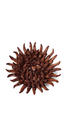 Chocolate - Mum - handmade by Chive Studio Toronto