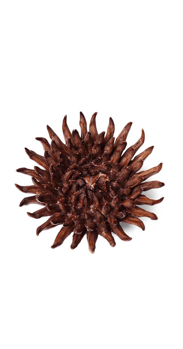 Chocolate - Mum - handmade by Chive Studio Toronto