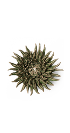 Olive - Mum - handmade by Chive Studio Toronto