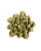Peridot - Comanche Peony - handmade by Chive Studio Toronto