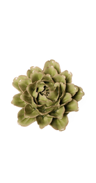 Peridot - Comanche Peony - handmade by Chive Studio Toronto