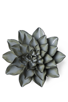 Grey Goyet Azalea ceramic wall flower — Japan Collection — designed in Toronto by Chive Studio