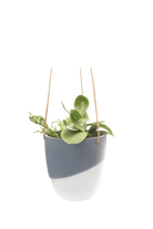 Black Porcelain Modern Hanging Indoor Plant Pot - Bobbin - handmade by Chive Studio Toronto