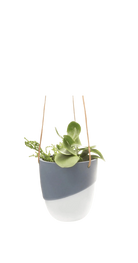 Black Porcelain Modern Hanging Indoor Plant Pot - Bobbin - handmade by Chive Studio Toronto