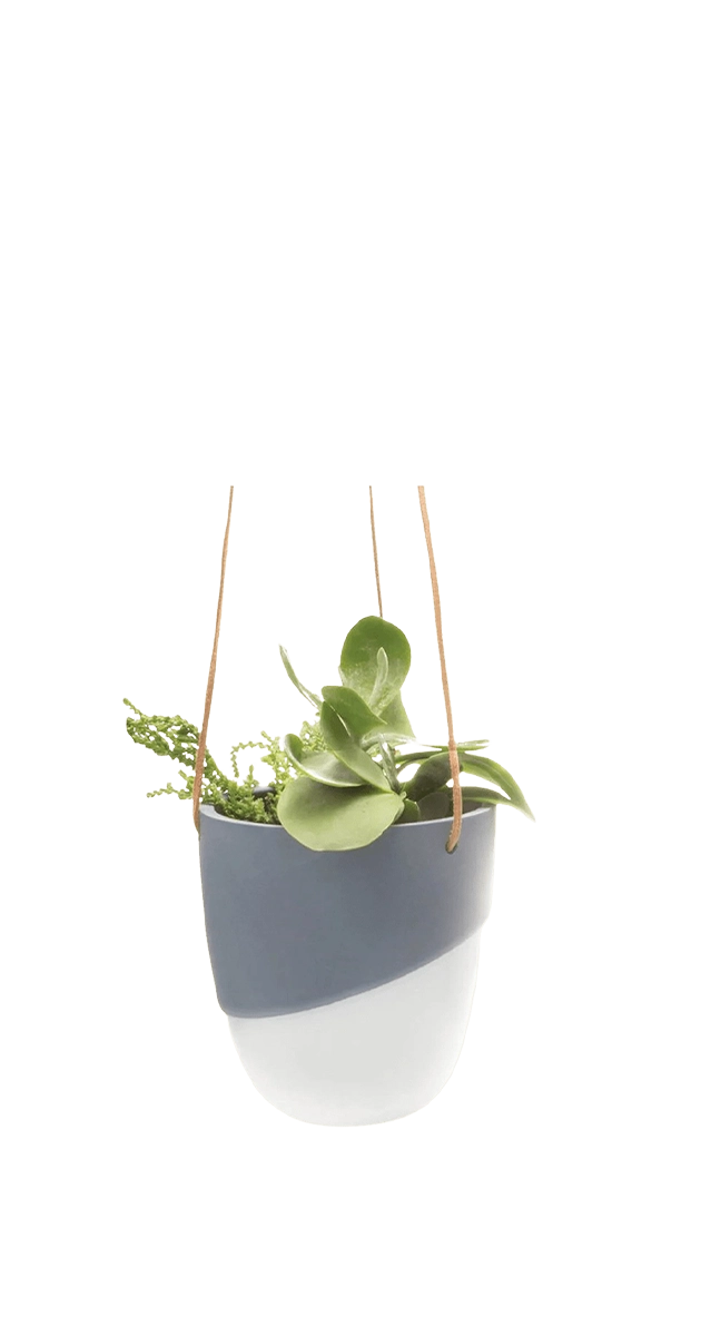 Black Porcelain Modern Hanging Indoor Plant Pot - Bobbin - handmade by Chive Studio Toronto