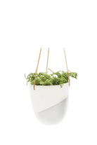 White Porcelain Modern Hanging Indoor Plant Pot - Bobbin - handmade by Chive Studio Toronto