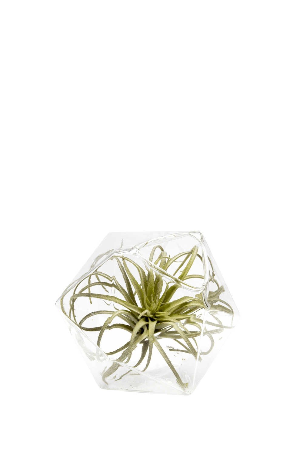 Clear Glass Modern Flower Vase - Crystal - handmade by Chive Studio Toronto