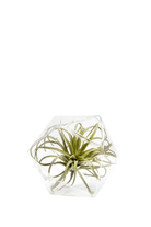 Clear Glass Modern Flower Vase - Crystal - handmade by Chive Studio Toronto