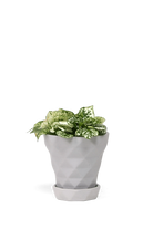 White Porcelain Modern Indoor Plant pot with Saucer - Diamond - handmade by Chive Studio Toronto