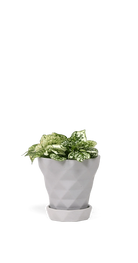 Light Grey Porcelain Modern Indoor Plant Pot with Saucer - Diamond - handmade by Chive Studio Toronto