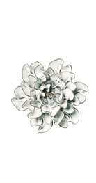 Blue White - Large Hawthorn - handmade by Chive Studio Toronto