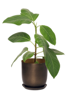 Bronzed Brown Metal Pot with Drainage Hole - Joe - handmade by Chive Studio Toronto