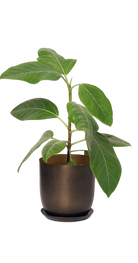 Bronzed Brown Metal Pot with Drainage Hole - Joe - handmade by Chive Studio Toronto