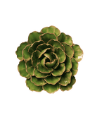 Avocado Green - Keiko Peony - handmade by Chive Studio Toronto