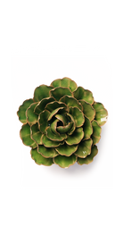 Avocado Green - Keiko Peony - handmade by Chive Studio Toronto