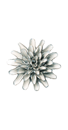 Blue White - Lexi Cornflower - handmade by Chive Studio Toronto