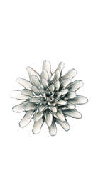 Blue White - Lexi Cornflower - handmade by Chive Studio Toronto