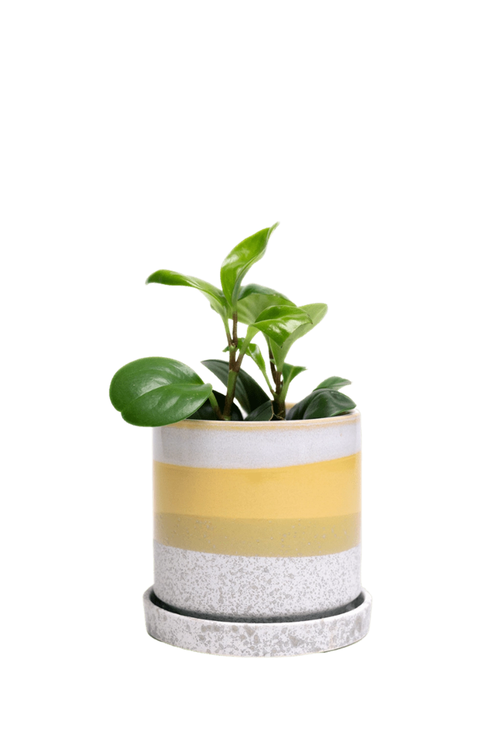 Boombastic Medium Ceramic Pot with Drainage Hole and Saucer - Minute - handmade by Chive Studio Toronto