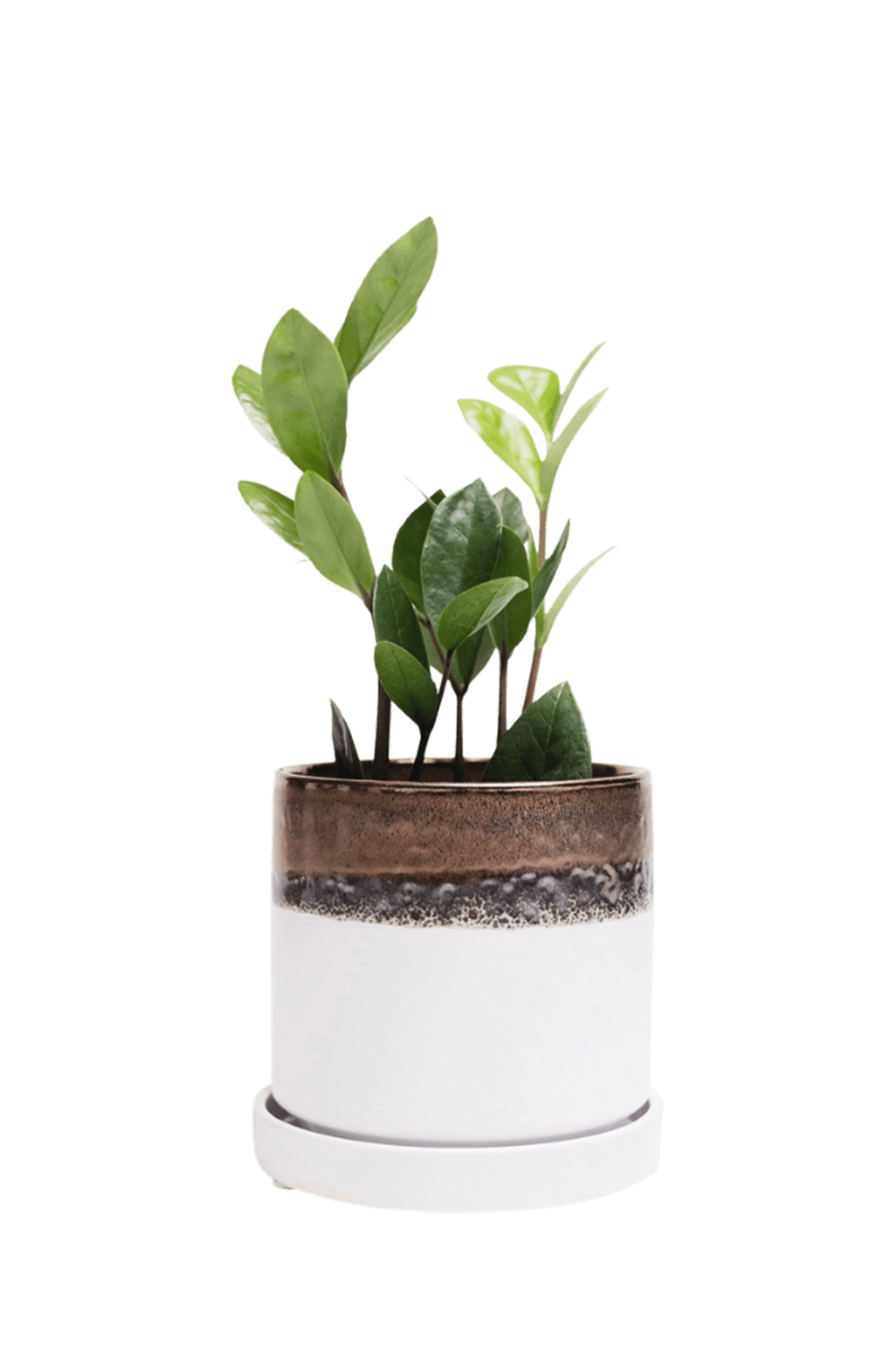 Bronze White Medium Ceramic Pot with Drainage Hole and Saucer - Minute - handmade by Chive Studio Toronto