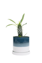 Green Blue Medium Ceramic Pot with Drainage Hole and Saucer - Minute - handmade by Chive Studio Toronto