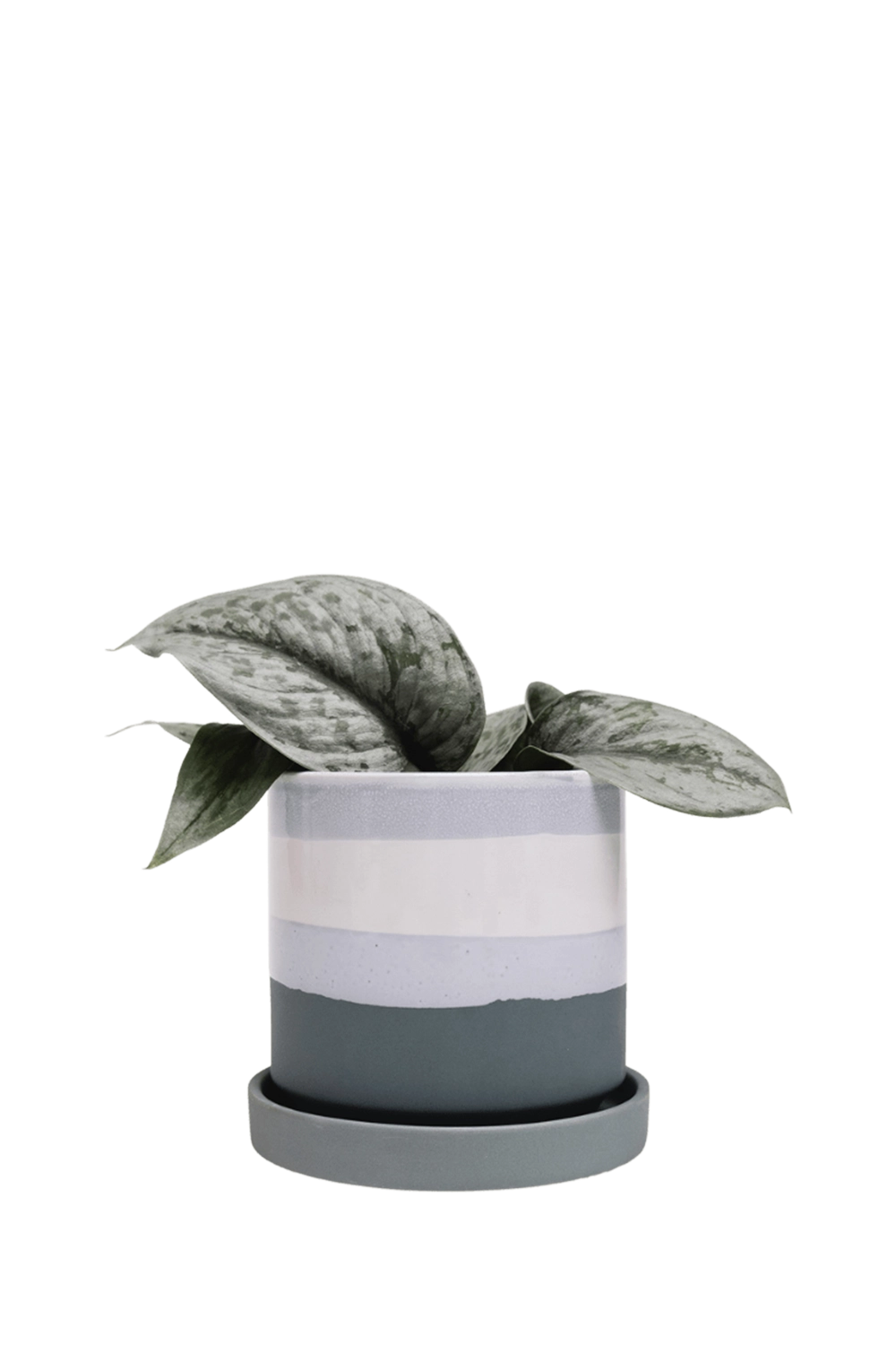 Matte Green Medium Ceramic Pot with Drainage and Saucer - Minute - handmade by Chive Studio Toronto
