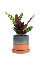 Terracotta Medium Ceramic Pot with Drainage Hole and Saucer- handmade by Chive Studio Toronto