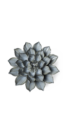Grey Green - Monch Aster - handmade by Chive Studio Toronto