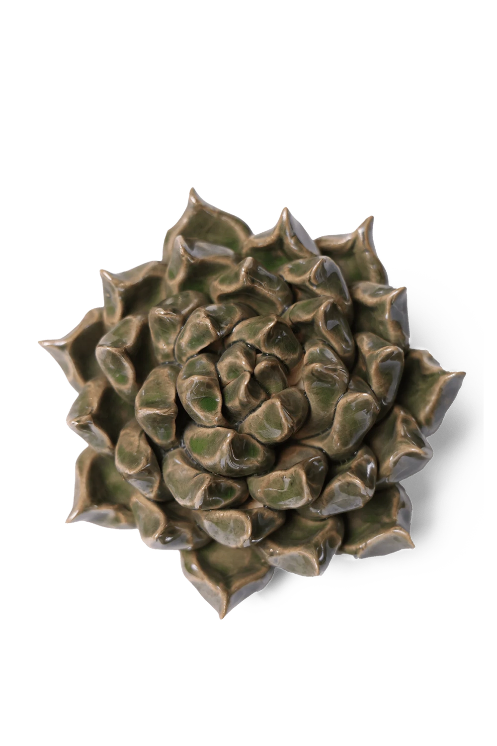 Green Succulent 6 - Classic Collection - handmade by Chive Studio Toronto