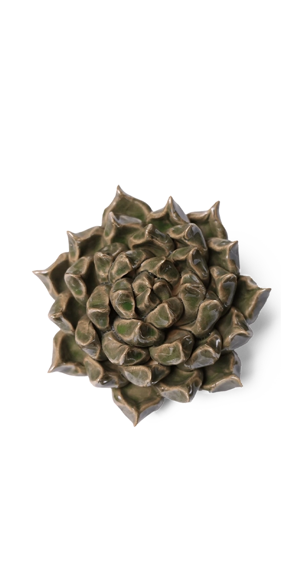 Green - Succulent - handmade by Chive Studio Toronto