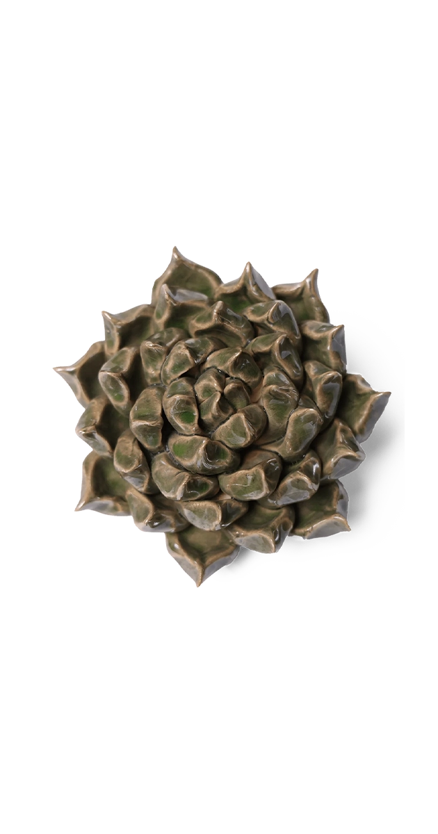 Green - Succulent - handmade by Chive Studio Toronto