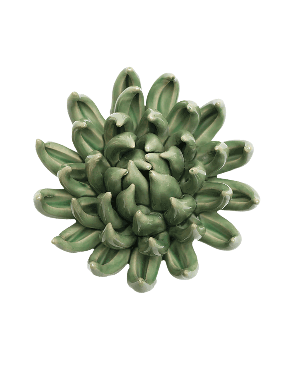 Jade Green Succulent ceramic wall flower — English Garden Collection — Chive Ceramics Studio