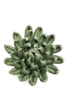 Jade Green Succulent - English Garden Collection - handmade by Chive Studio Toronto