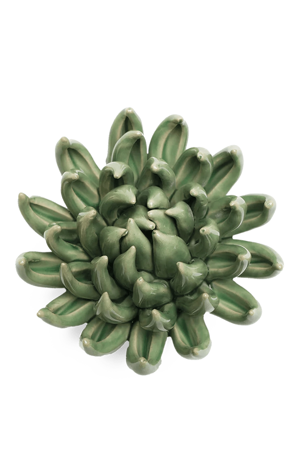 Jade Green - Succulent - handmade by Chive Studio Toronto