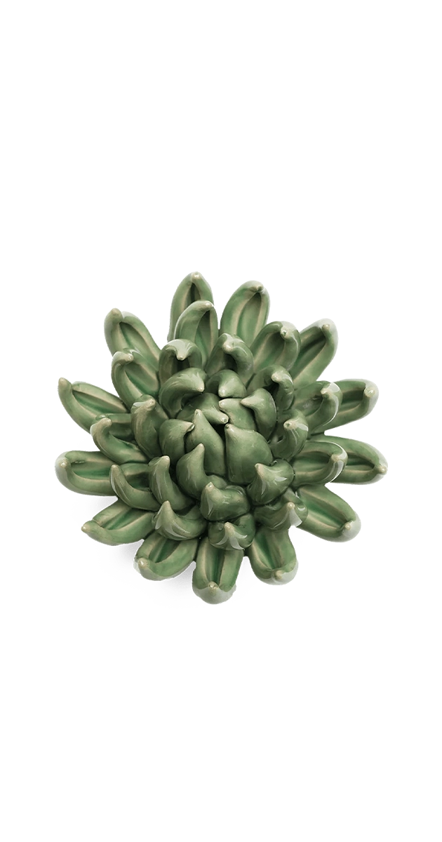 Jade Green - Succulent - handmade by Chive Studio Toronto