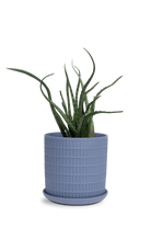 Blue Grey Porcelain Pot with Drainage Hole and Saucer - Virago - designed by Chive Studio Toronto