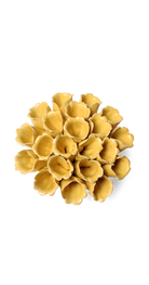 Yellow - Medium Polyp - handmade by Chive Studio Toronto