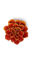 Orange Yellow - Coreopsis - handmade by Chive Studio Toronto