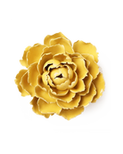 Buttercup Yellow Gay Paree Peony ceramic wall flower — Chive Ceramics Studio