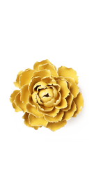 Buttercup Yellow Gay Paree Peony ceramic wall flower — English Garden Collection — Chive Ceramics Studio