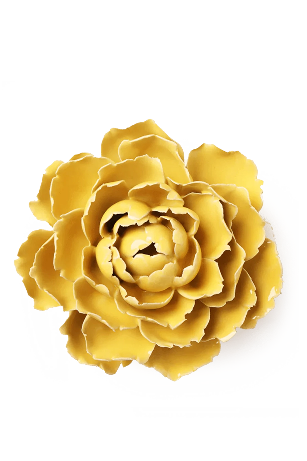 Burnt Yellow Elegance Ranunculus — English Garden Collection — designed by Chive Studio Toronto
