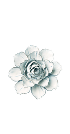 Blue White - Camellia - handmade by Chive Studio Toronto