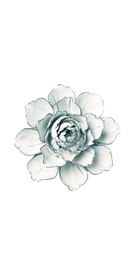Blue White - Camellia - handmade by Chive Studio Toronto