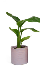 Mauve Ceramic Planter Pot - Channa - handmade by Chive Studio Toronto